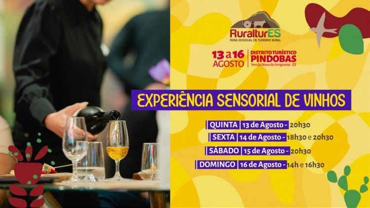 Experi&ecirc;ncia Sensorial Vinhos